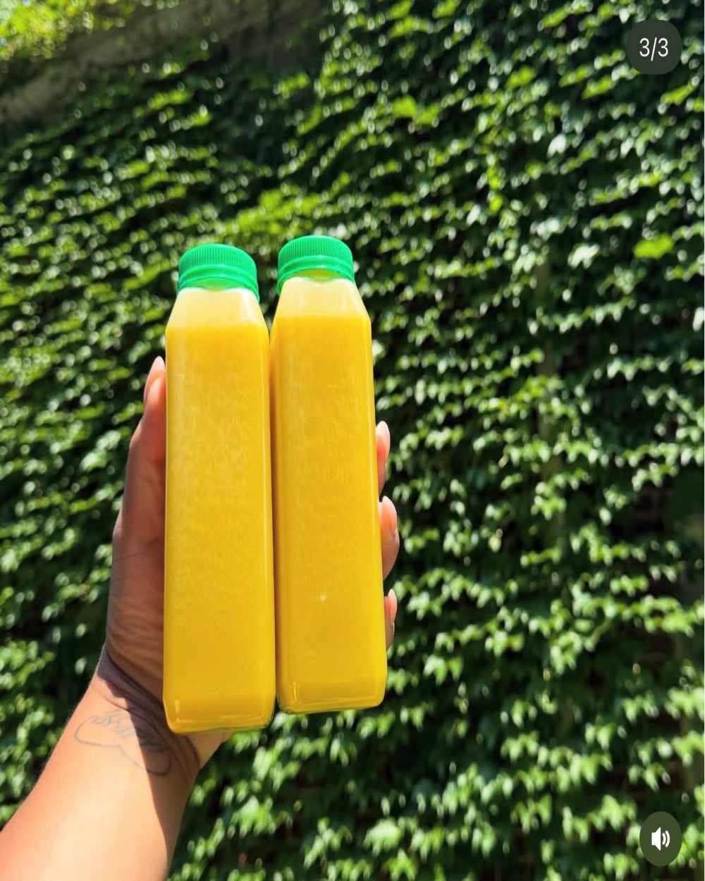Hand holding two bottles of cold pressed pineapple juice with green caps against a leafy background